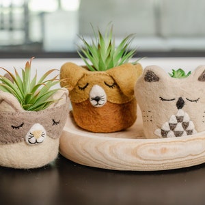 May include: Three felt animal planters with succulents. The planters are shaped like a cat, a dog, and an owl. The cat planter is beige with brown ears and eyes. The dog planter is brown with beige ears and eyes. The owl planter is beige with brown eyes and a gray and white pattern on its chest. The planters are sitting on a wooden tray.