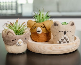 Trío de maceteros de lana de fieltro con forma de animal: organizador de escritorio hecho a mano con forma de gato, perro y búho