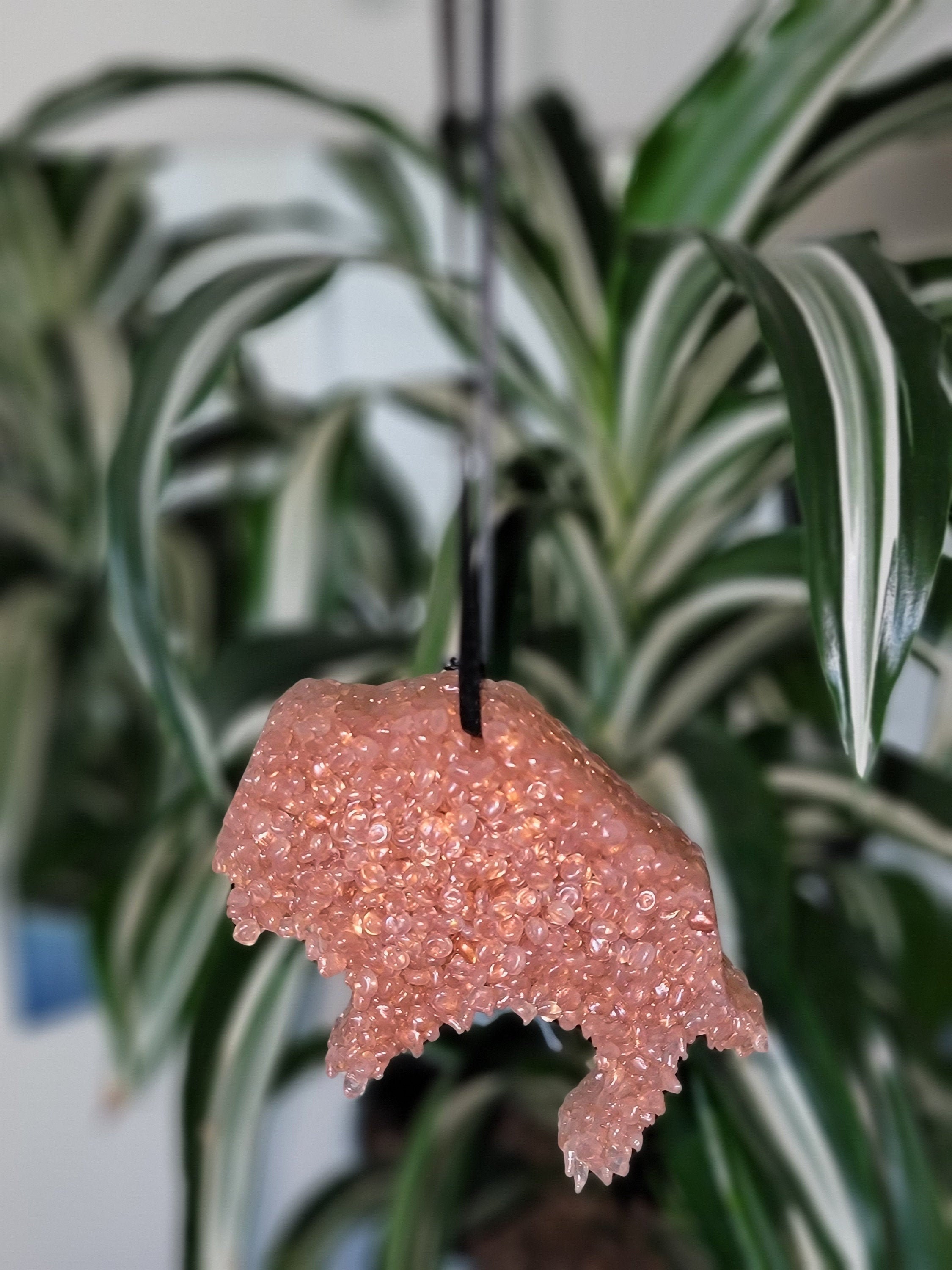 Leather Scented Car Air Freshener Etsy