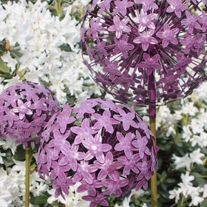 Plant plug Allium Purple | 3 sizes | Bed plugs | Garden Stakes | Garden decoration metal | Rust decoration | trellis | Rose ball