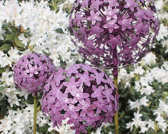 Bouchon de plante Allium Violet | 3 tailles | Bouchons de lit | Enjeux de jardin | Décoration de jardin en métal | Décoration rouille | treillis | Boule de roses