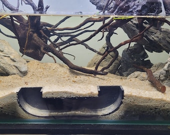 Aquarium Tunnel - Great for Shrimp, Plecos, Corydoras and other fish