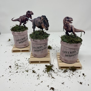Jurassic World Potato Chips Can Personalized,Jurassic Park Party Favor,Jurassic World Birthday,Jurassic World Decoration,Decorated