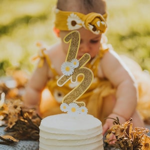 Half Birthday Cake Topper, Half Birthday Cake Smash, Half Birthday Girl, Half Birthday Decor, Half Birthday Topper, Half Birthday Theme,