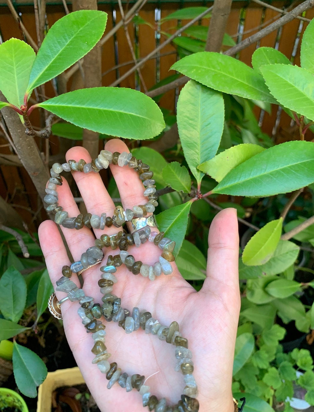 Labradorite Large Chip Bracelet