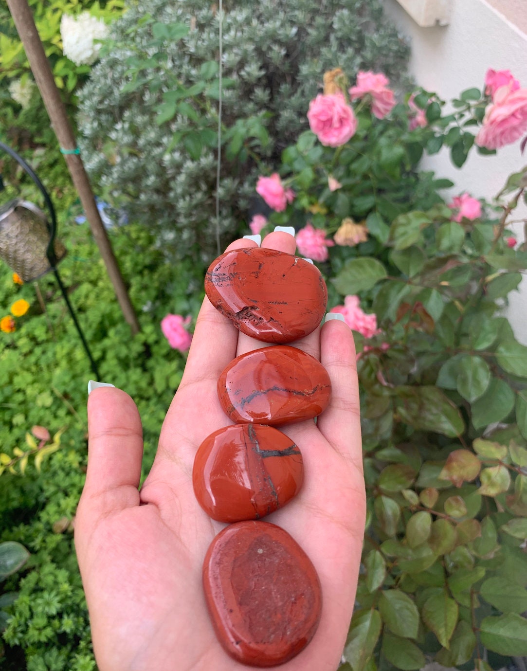 Pierre de Palmier Jaspe Rouge