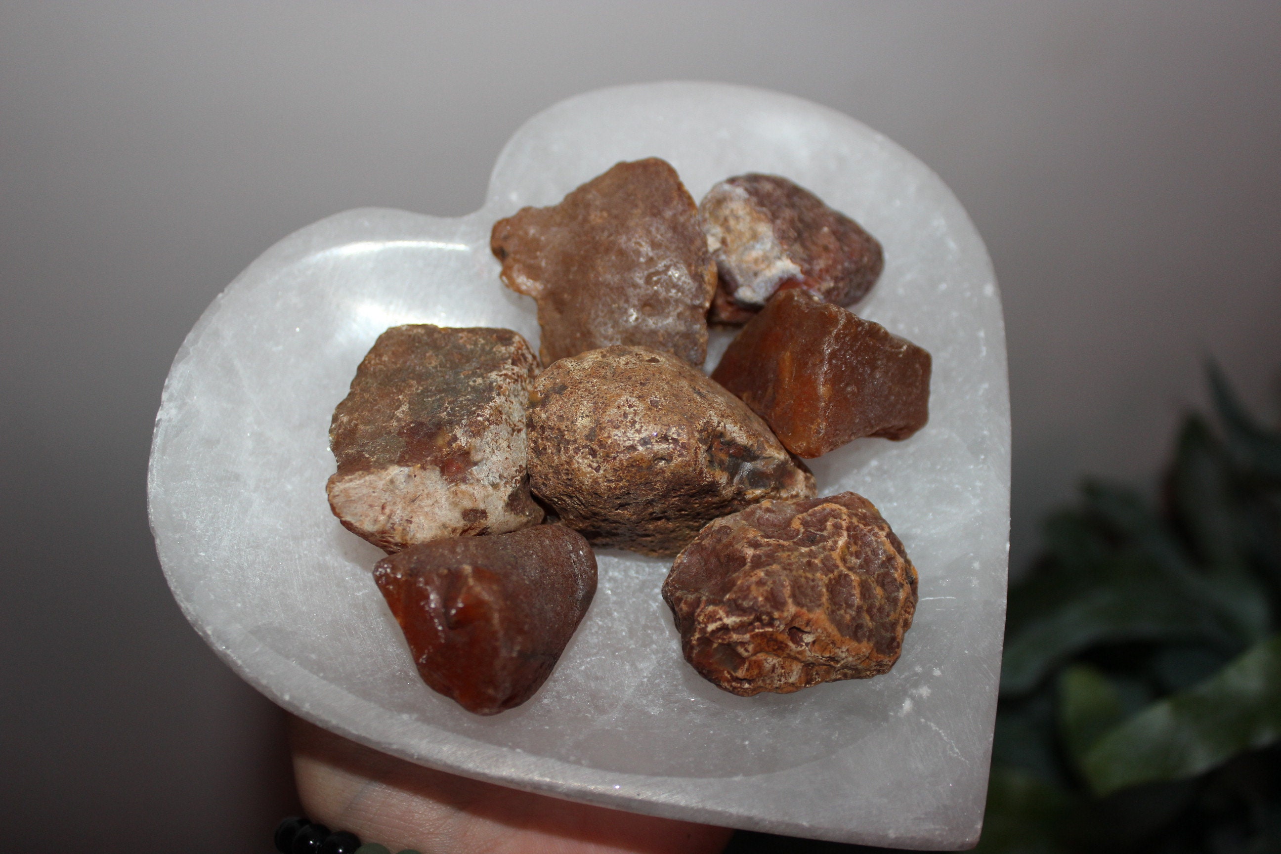 Cornaline Brute. Cornaline Brut