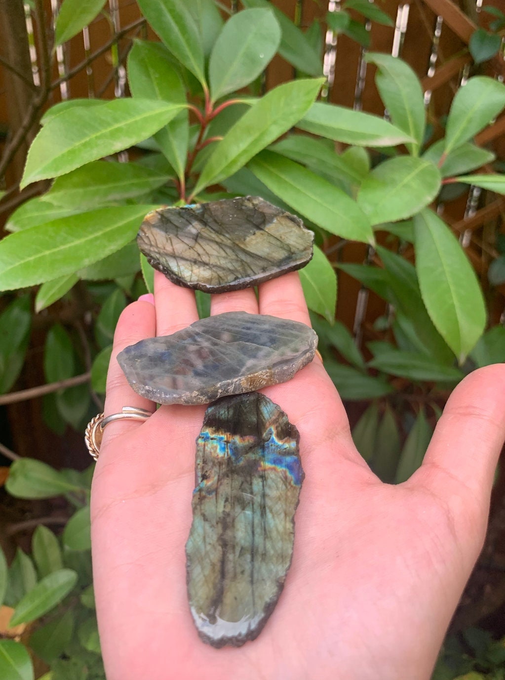 Dalle de Spectrolite