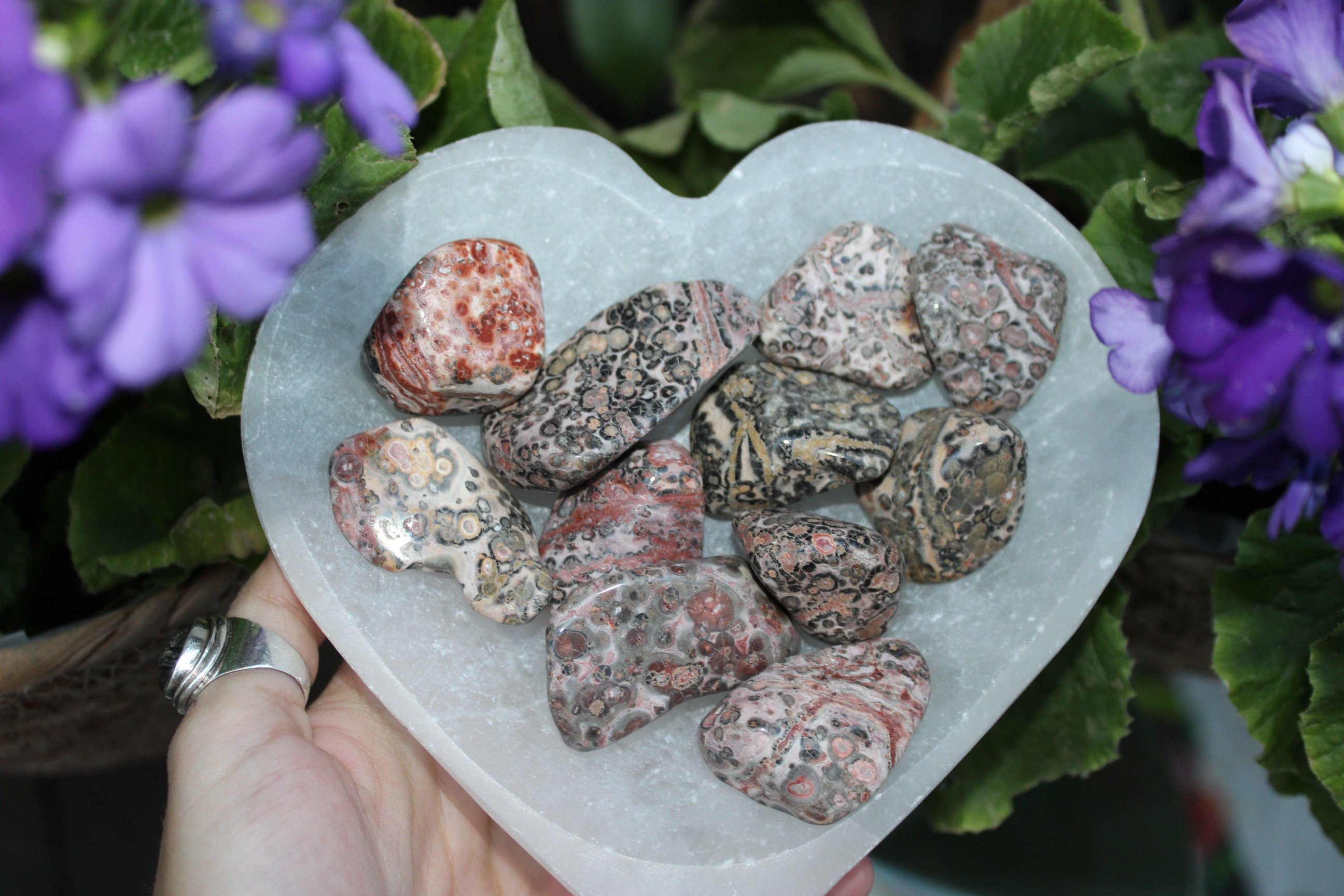 Leopardskin Jasper Tumbled Stone.pierre Roulée Leopardskin Jasper