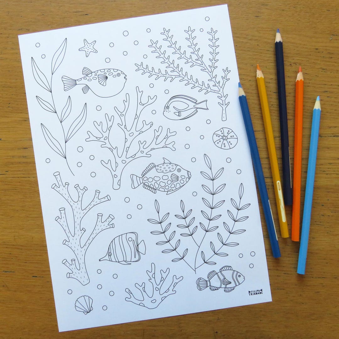 Tropical Fish Coloring Page A4, Animal Coloring Page, Print and Color
