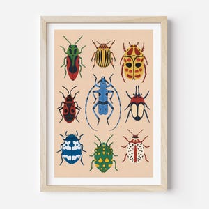 Colorful Insect Art Print, Entomology, Beetle Illustration, Coleoptera, Illustrated Biology, Wall Art