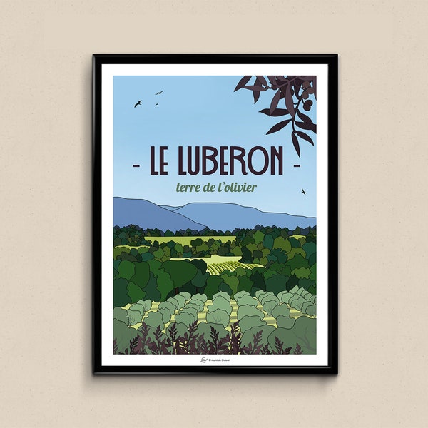 Affiche Le Luberon, terre de l'olivier