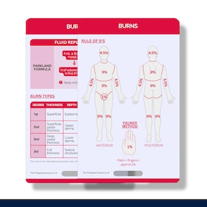 May include: A red and white card with the title "BURNS" and "RULE OF 9'S". The card shows a diagram of the human body divided into sections with percentages for each section. The card also includes a diagram of a hand with the percentage for the palm and fingers. The card also includes a table with the title "BURN TYPES" and information about the different degrees of burns.