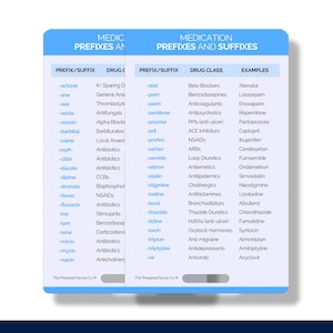 Medication Prefixes & Suffixes Nurse Reference Card, Prefix Suffix Nurse Badge Card, Prefix Suffix Nurse Badge Buddy, Nurse Drug Badge Card