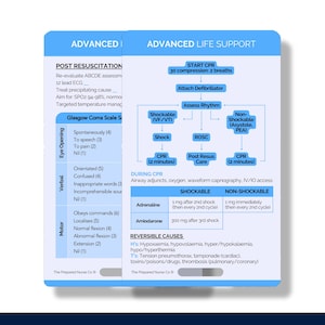 Advanced Life Support, verpleegkundige referentiekaart, ACLS-algoritme-badge Buddy, ALS-badgekaart, zakkaart reanimatieverpleegkundige, badgekaart hartverpleegkundige
