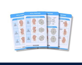May include: A set of four blue and white laminated cards with illustrations of different fetal positions. The cards are titled "Fetal Positions" and show various positions of a baby in the womb, including vertex, breech, and transverse.