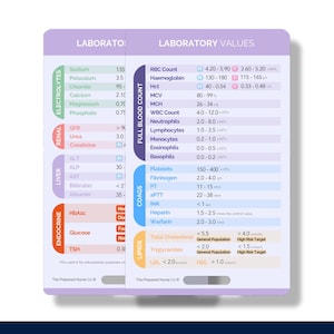 Laboratory Values, Nurse Reference Card, Nurse Badge Lab Values, Badge Buddy Lab Values, Laboratory Values Badge Card, Nurse Pocket Card