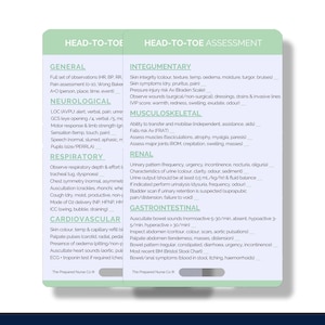 Head-to-Toe Assessment, Nursing Reference Card, Systems Assessment Badge Buddy, Student Nurse Badge Buddy, New Nurse Badge Card, Nurse Cards