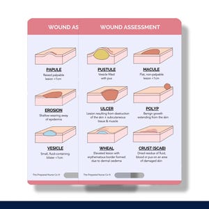 Wound Types, Nursing Reference Card, Wound Care Badge Buddy, Wound ...