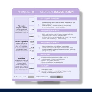 Carte de réanimation néonatale, réanimation du nouveau-né, carte de référence de sage-femme, carte d'insigne de sage-femme étudiante, carte de poche de sage-femme, insigne de sage-femme