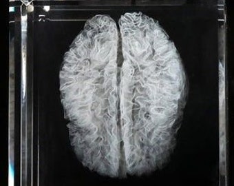 Human Brain "White Matter" Crystal Sculpture