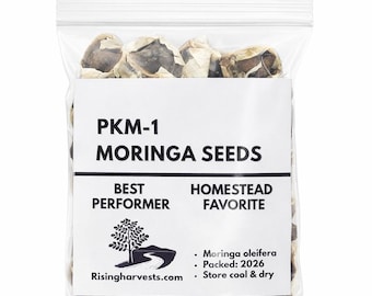 PKM-1 Moringa Seeds OR Grow Kit - High Yield, Fast Growing (30 Seeds)