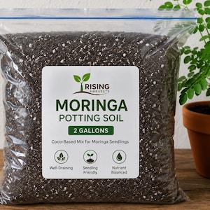 May include: A clear plastic bag filled with Moringa potting soil, labeled "Rising Harvests." The label indicates 2 gallons of soil, suitable for Moringa seedlings. A small potted plant with green leaves sits to the right.