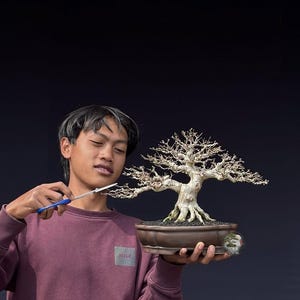 Levende bonsaiboom. Waterjasmijn. Wrightia religiosa. Bonsaiboom. Klein formaat SK. - Ficus - Tiger Brek - Japanse esdoorn