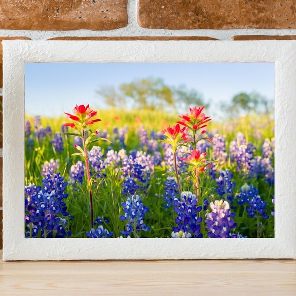 Beautiful Bluebonnets and Indians Paintbrushes, Landscape Photo, Wildflower Wall Decor, Nature Printable, Instant Download