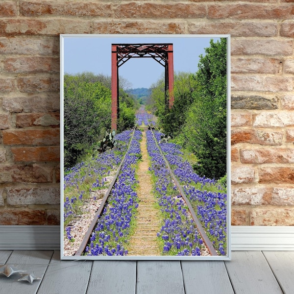 Bluebonnets, 1903 Railroad Bridge Photo, Texas Hill Country Home Decor, Wildflower, Botanical, Floral Wall Art, Digital Download Gift,