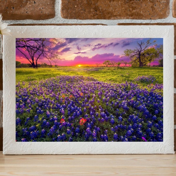 Bluebonnets and Sunset Landscape Photo, Wall Decor, Nature Printable, Instant Download