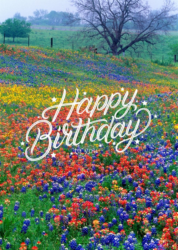 Flower Field Birthday Card Flower Field Birthday Card