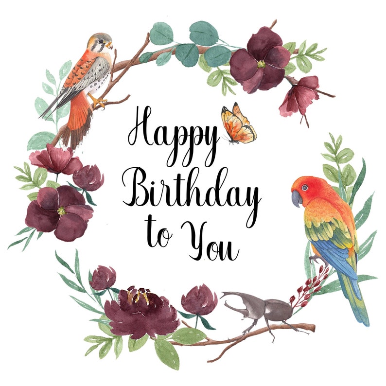Printable Birthday Card Happy Birthday Parrot Falcon - Etsy