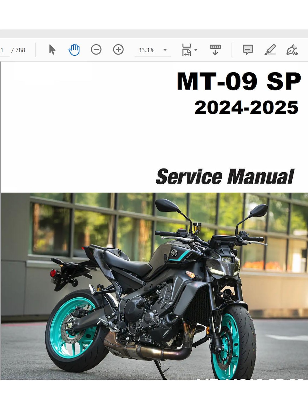 2025 Yamaha MT-09 MT09R/MT09RC/MT09SPR/MT09SPRC Repair Service
