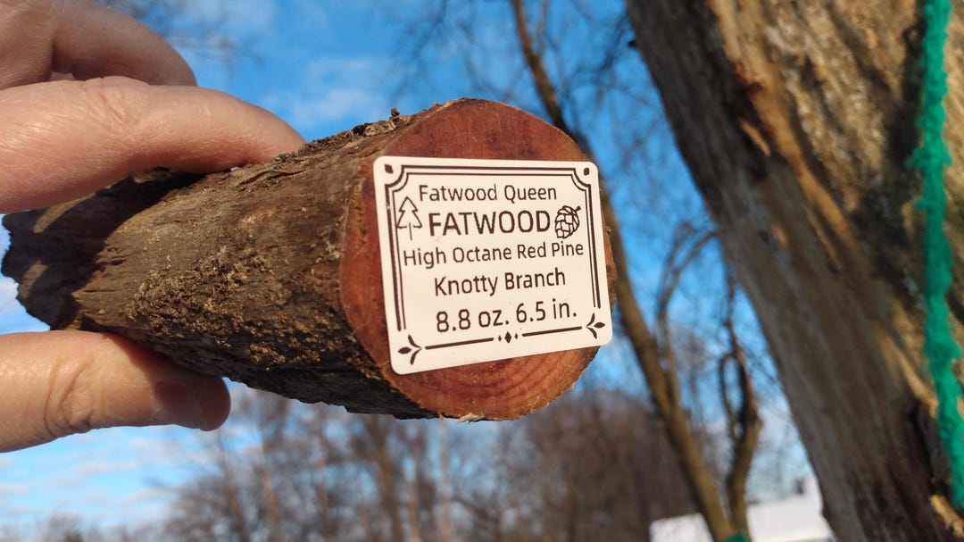 High Octane Fatwood Branch With Knots For Fire Starter Or Wood Craft