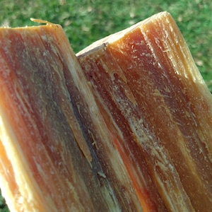 Madera de pino rojo / Rama procesada partida con nudos