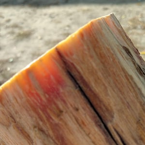 Tronco de pino austriaco (para encender fuego)