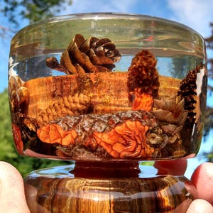 May include: A clear resin bowl featuring a natural wood slice base and embedded pine cones. The transparent material encases the organic elements, creating a layered display of brown and orange textures within the circular, smooth-walled vessel.