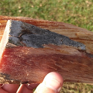 Madera de pino rojo / Rama procesada partida