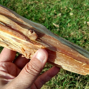 Madera de pino rojo / Rama procesada individualmente / Para encender fuego