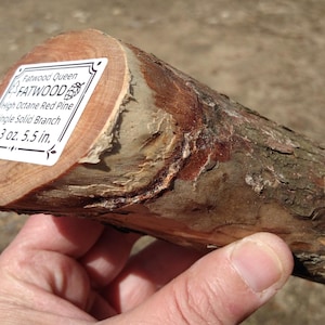 Rama de pino rojo: iniciador de fuego natural, suministros para artesanías de madera