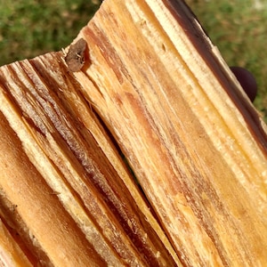 Madera de pino rojo / Rama procesada partida