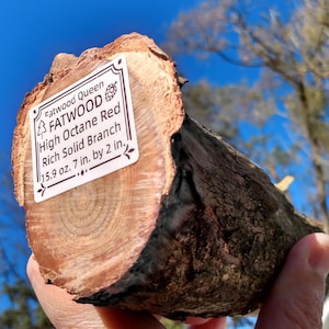 Rama de pino rojo de alto octanaje: iniciador de fuego, artesanía en madera (15,9 oz, 7 x 2 pulgadas)