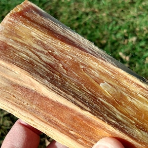 Madera de pino rojo / Rama procesada individualmente / Para encender fuego