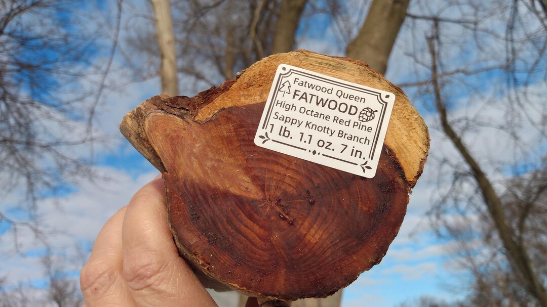 High Octane Red Pine Fatwood Fire Starter Sappy Knotty Branch This