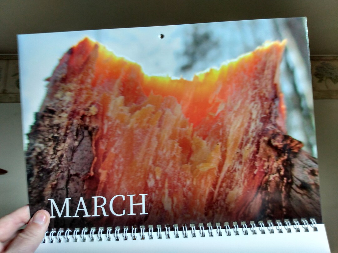 2024 Fatwood Life Calendar With The Fatwood Queen Etsy