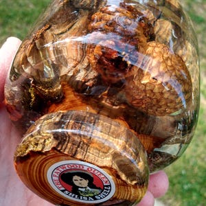 May include: A clear, rounded resin object containing embedded brown pinecones and wood fragments. The base features a circular sticker with a black and white portrait of a person and the text THE FATWOOD QUEEN SHLISA SHELL in a circular border.