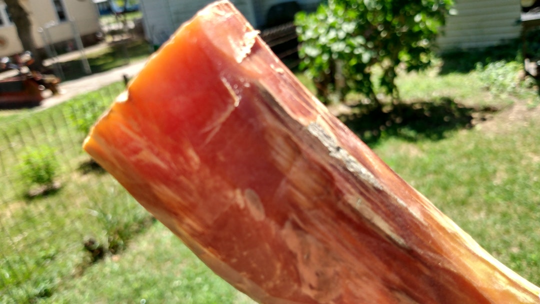 Rich Carved Shaved Pine Knot Fatwood High Octane Red Pine Mi Gold For