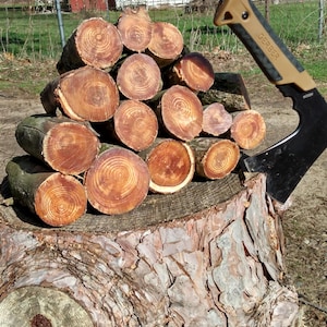 High-Octane Fatwood Fire Starter Branches, Red Pine Resin Wood Craft Supplies