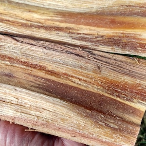 Madera de pino rojo / Rama procesada partida